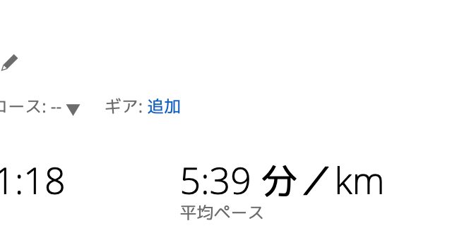 今日のラン